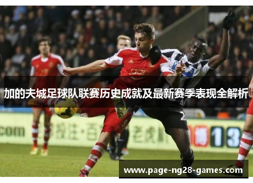 加的夫城足球队联赛历史成就及最新赛季表现全解析