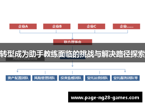 转型成为助手教练面临的挑战与解决路径探索