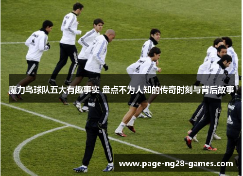 魔力鸟球队五大有趣事实 盘点不为人知的传奇时刻与背后故事