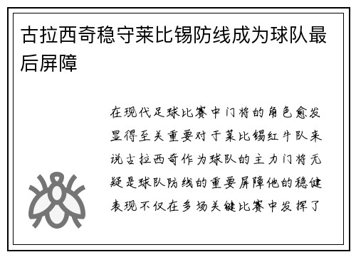 古拉西奇稳守莱比锡防线成为球队最后屏障
