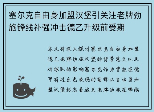 塞尔克自由身加盟汉堡引关注老牌劲旅锋线补强冲击德乙升级前受期