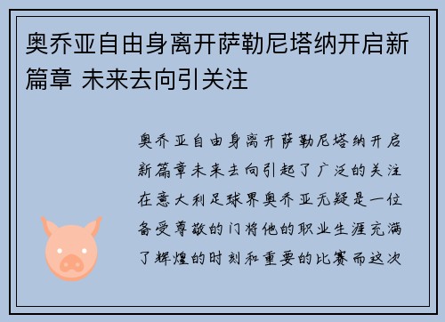 奥乔亚自由身离开萨勒尼塔纳开启新篇章 未来去向引关注